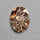 Rare Fossil Marston Marble Polished Flat Cabochon