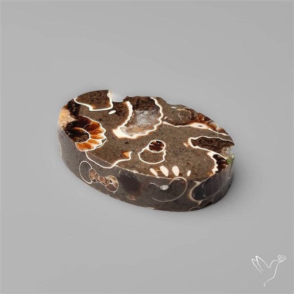 Rare Fossil Marston Marble Polished Flat Cabochon