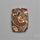 Rare Fossil Marston Marble Polished Flat Cabochon