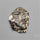 Rare Fossil Marston Marble