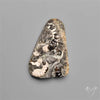 Rare Fossil Marston Marble