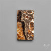 Rare Fossil Marston Marble