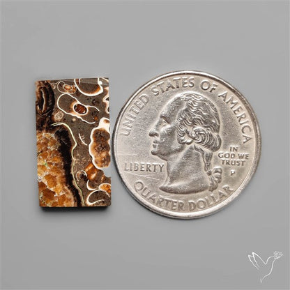 Rare Fossil Marston Marble