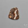 Rare Fossil Marston Marble