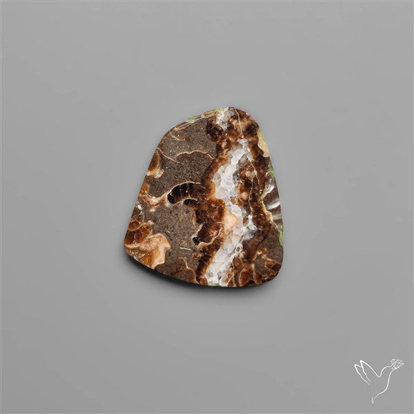 Rare Fossil Marston Marble