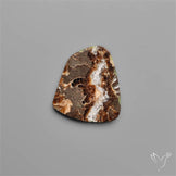 Rare Fossil Marston Marble