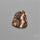 Rare Fossil Marston Marble