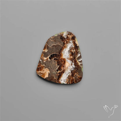 Rare Fossil Marston Marble