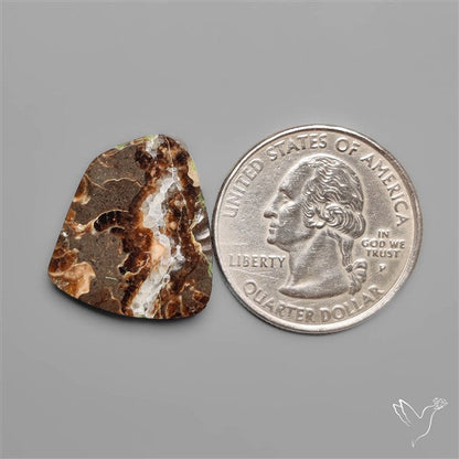 Rare Fossil Marston Marble
