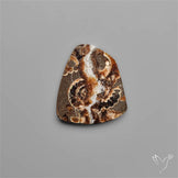 Rare Fossil Marston Marble