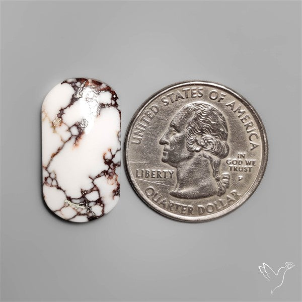 Wild Horse Jasper Cabochon