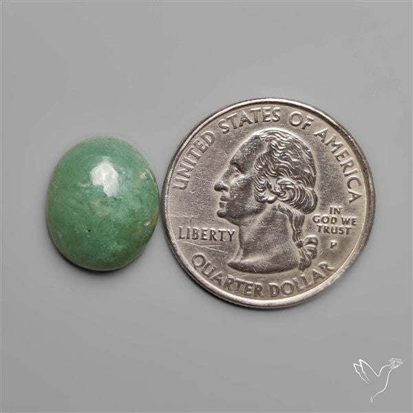 Green Aqua Chrysoprase Cabochon