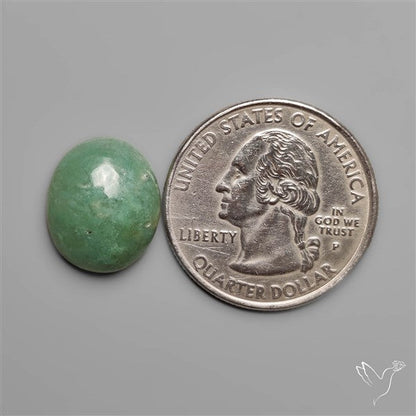 Green Aqua Chrysoprase Cabochon
