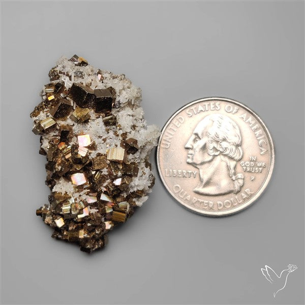 Raw Cubic Pyrite Druzy Specimen