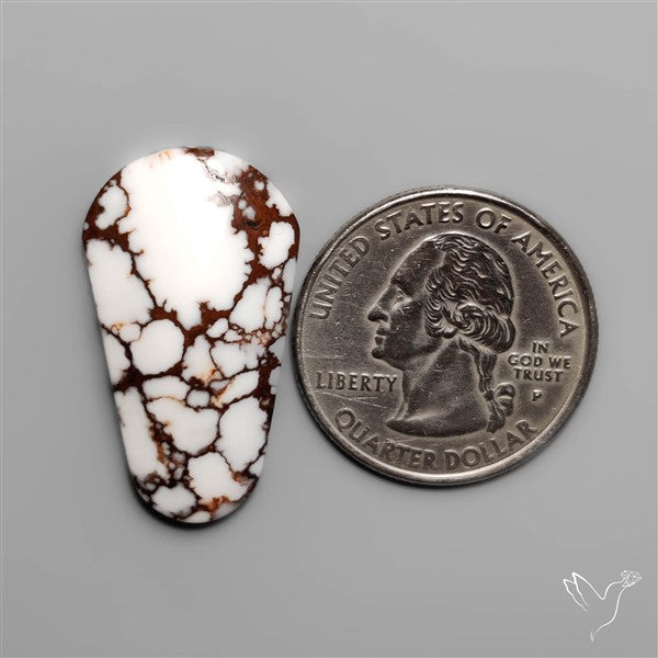 Wild Horse Jasper Cabochon