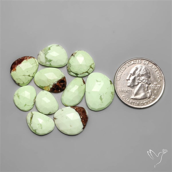 Rose Cut Citron Chrysoprase Lot