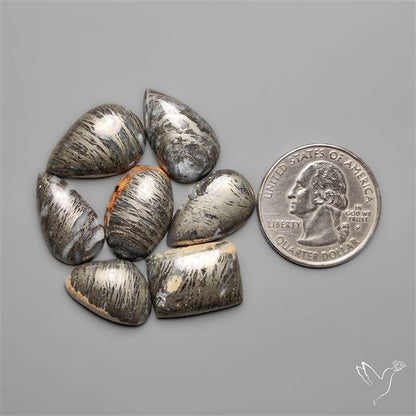 Feather Pyrites Lot