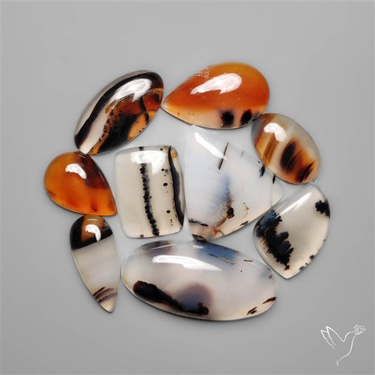 Montana Agates Lot