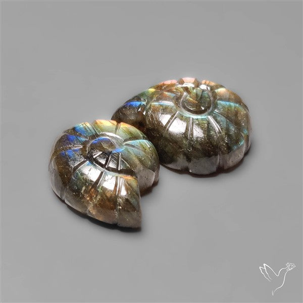 Labradorite Ammonite Carvings Lot