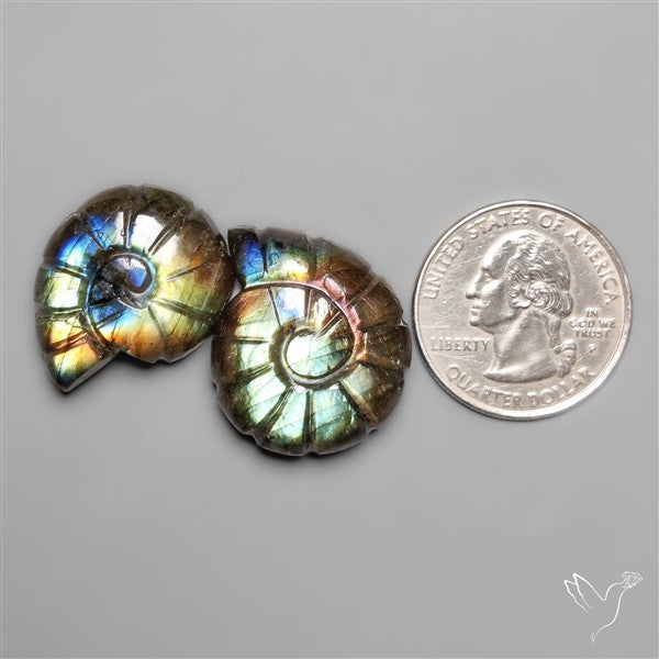 Labradorite Ammonite Carvings Lot