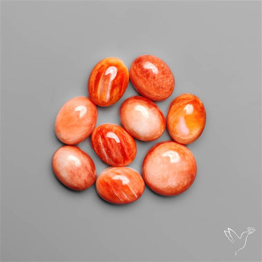 Spiny Oyster Shell Calibrated Cabochons Lot