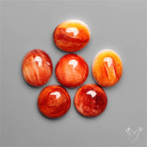 Spiny Oyster Shell Calibrated Cabochons Lot