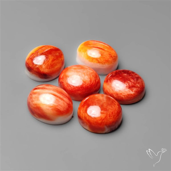 Spiny Oyster Shell Calibrated Cabochons Lot