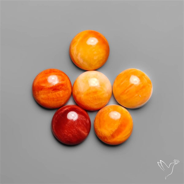 Spiny Oyster Shell Calibrated Cabochons Lot