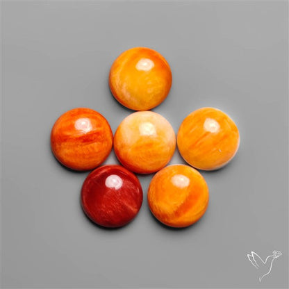 Spiny Oyster Shell Calibrated Cabochons Lot