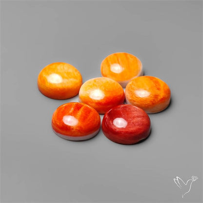 Spiny Oyster Shell Calibrated Cabochons Lot