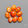 Spiny Oyster Shell Calibrated Cabochons Lot