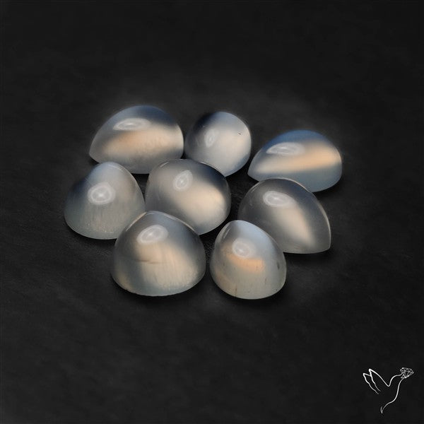 Rare White Moonstone Cat's Eye Lot