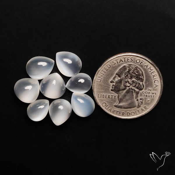 Rare White Moonstone Cat's Eye Lot