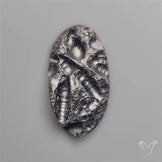 Indochinite Tektite