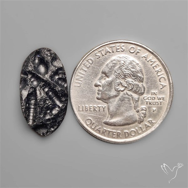 Indochinite Tektite