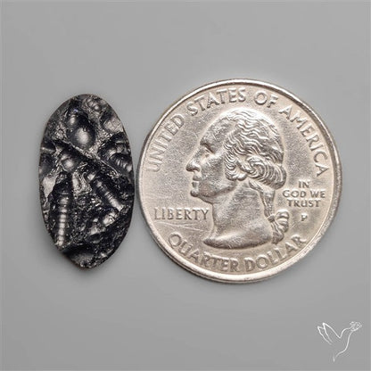 Indochinite Tektite