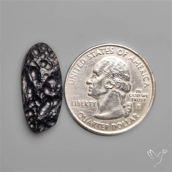 Indochinite Tektite