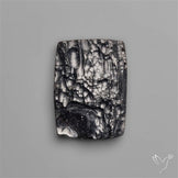 Indochinite Tektite