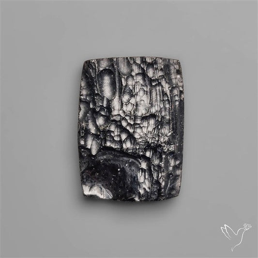 Indochinite Tektite