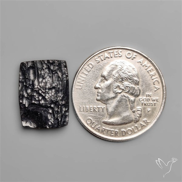 Indochinite Tektite