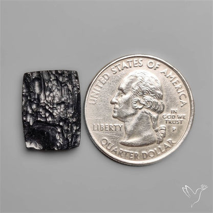 Indochinite Tektite