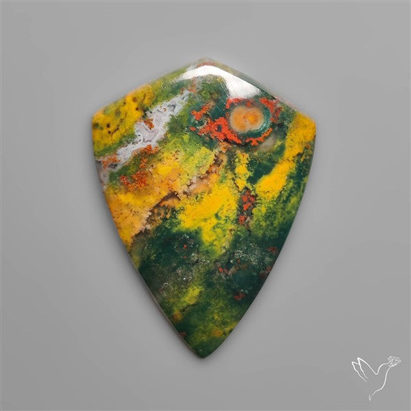 Bi color Moss Agate Cabochon