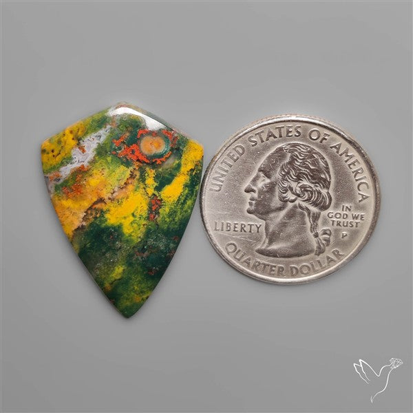 Bi color Moss Agate Cabochon