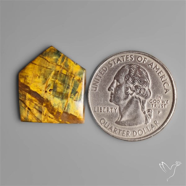 Selected Bi Color Nellite Cabochon
