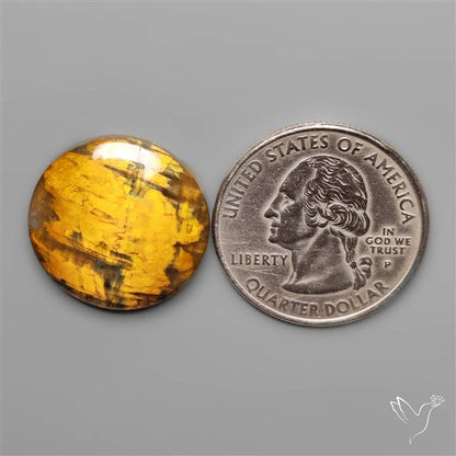 Selected Bi Color Nellite Cabochon