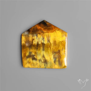 Selected Bi Color Nellite Cabochon