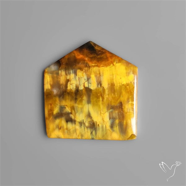 Selected Bi Color Nellite Cabochon