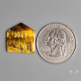 Selected Bi Color Nellite Cabochon