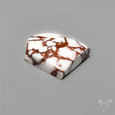 Wild Horse Jasper Cabochon