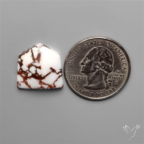 Wild Horse Jasper Cabochon